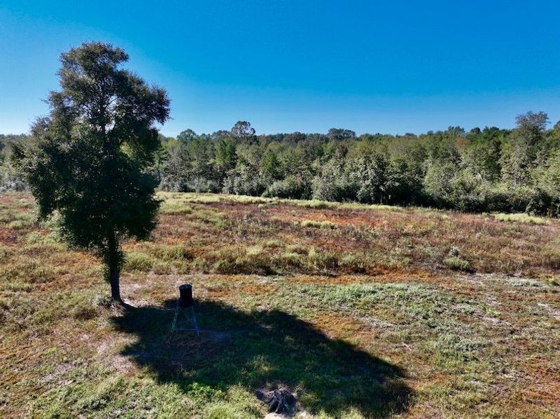 227A5B7E-5717-498E-964A-AF7F993373D8_1_201_a