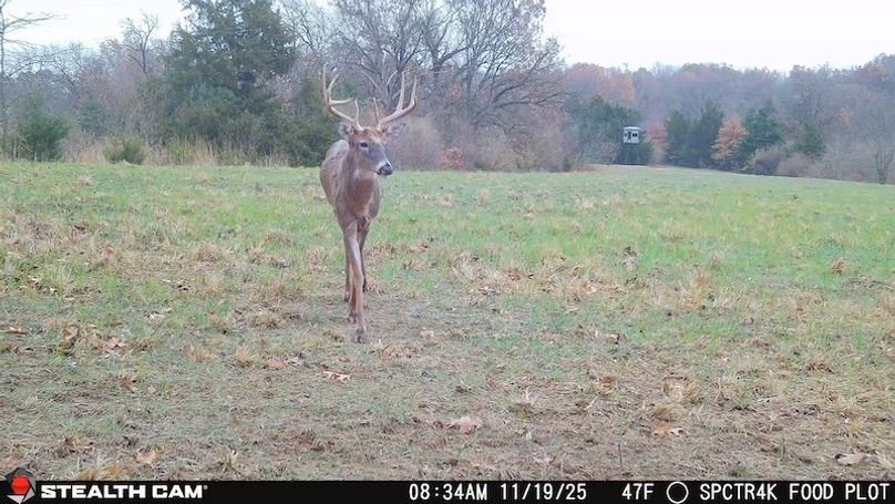 2025111908341101000336_ColorizationType.none