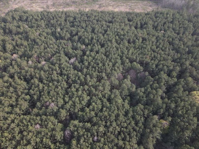 DJI_0105