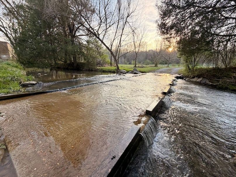 Meigs 113 NATH Homestead _003