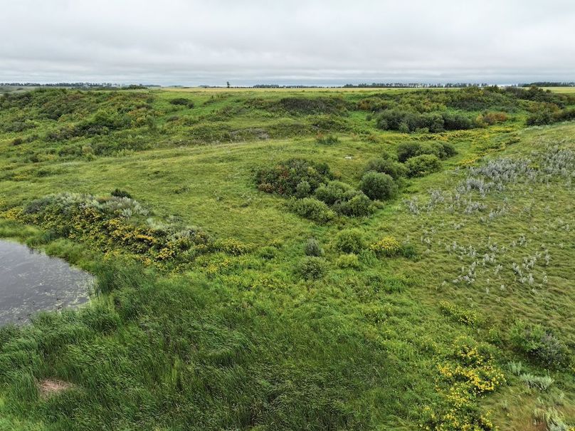 Copy of DJI_20250704133743_0615_D