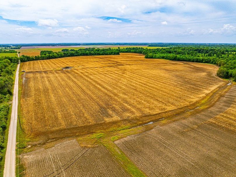 Copy of Noxubee 40 Tract 2-03