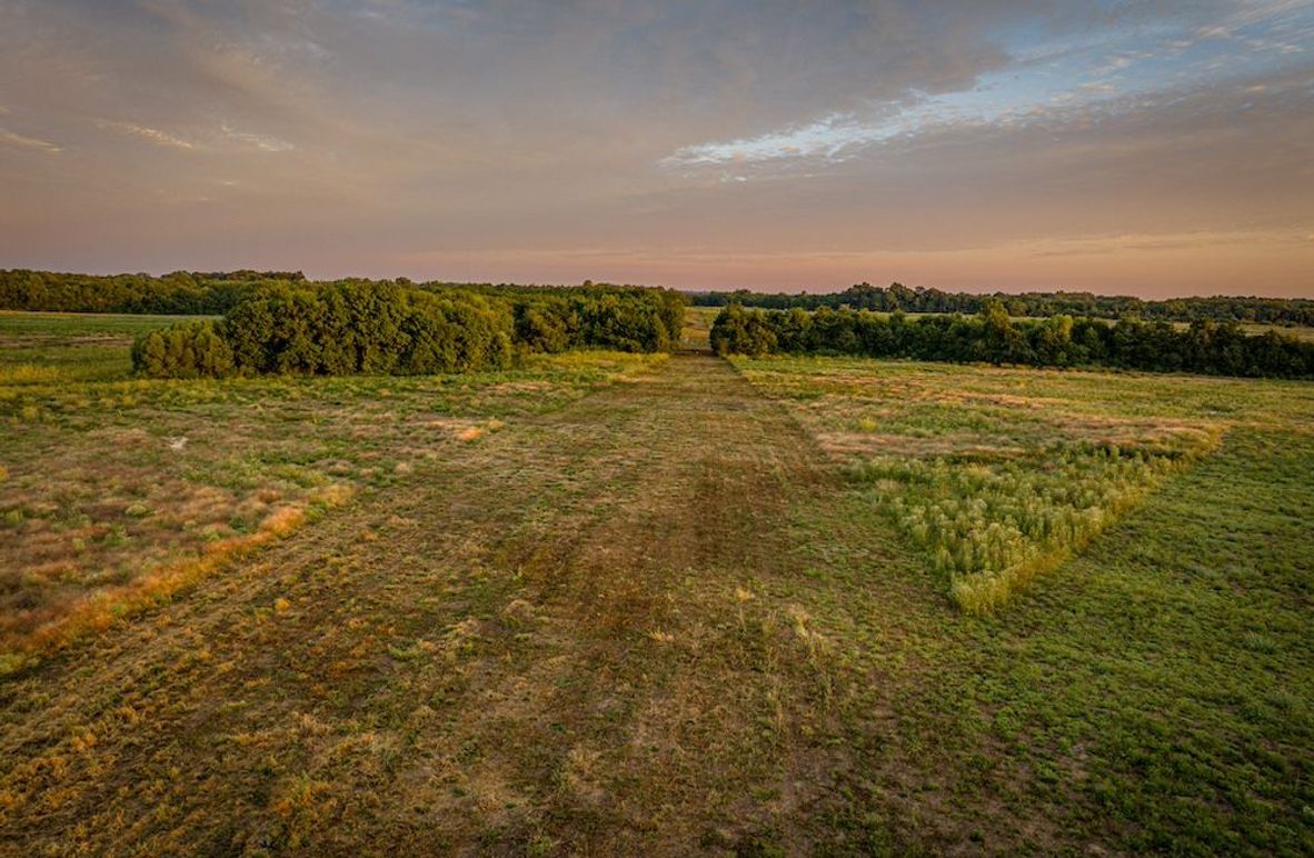 Copy of Clay 374.13-07