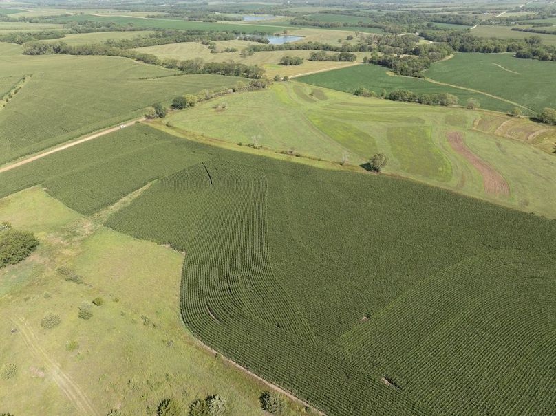 DJI_20250729103245_0082_D