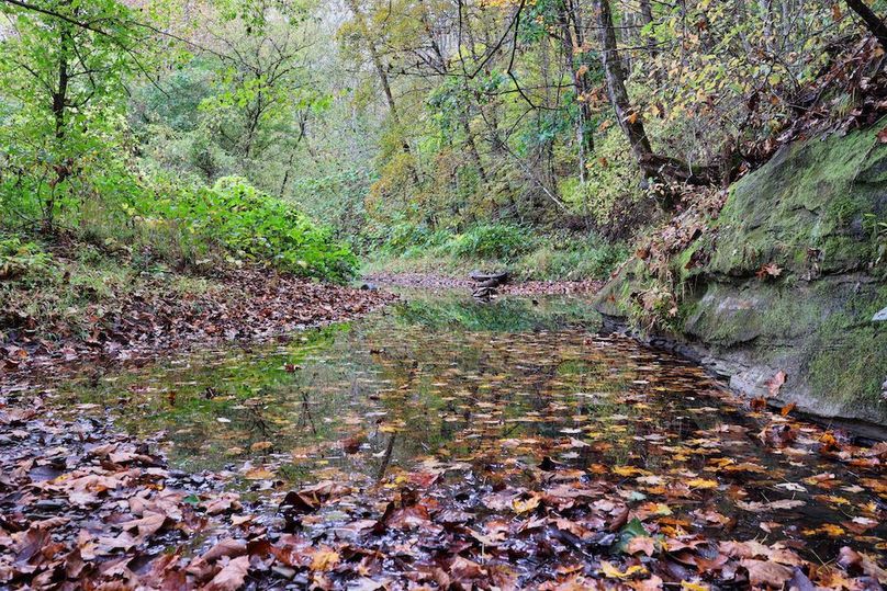 009 Lick Creek at its finest