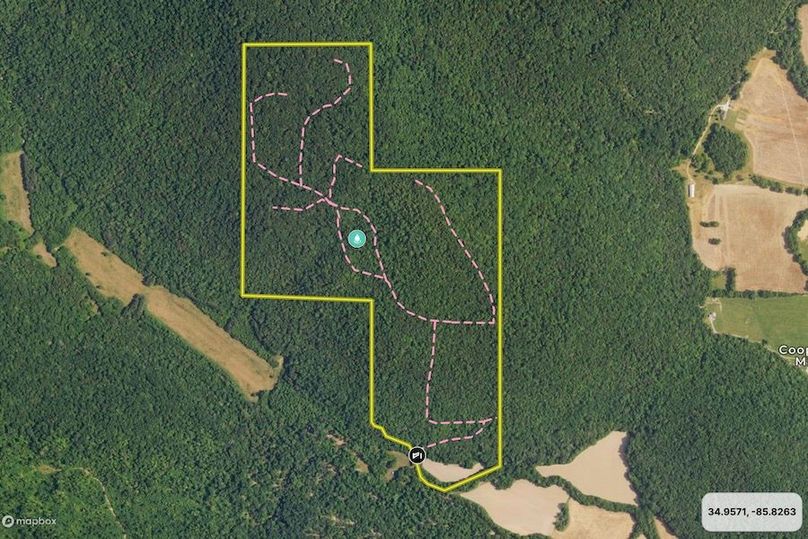 Screenshot 2024-09-27 at 5.59.20 AM