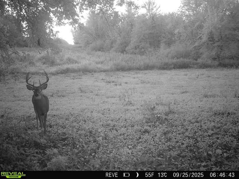 868032066849096-1-3-09252025065106-HD-SYFW0374