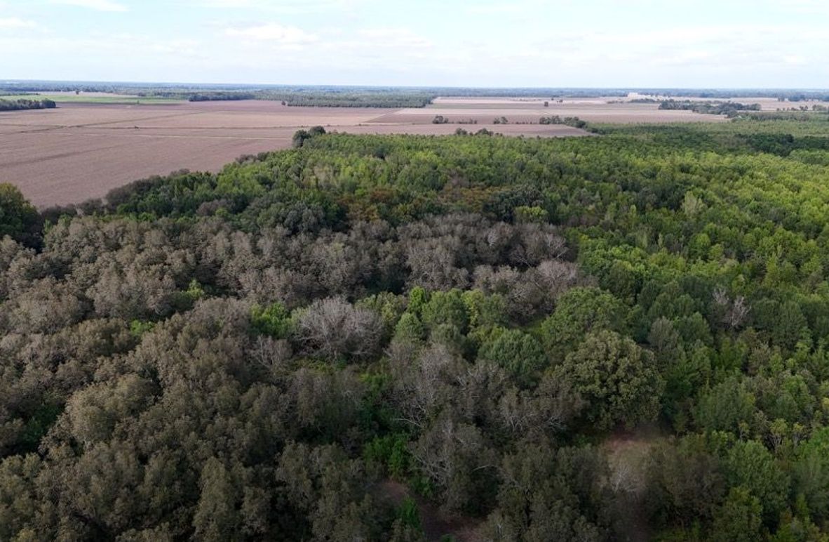 DJI_20251009043330_0777_D (1)