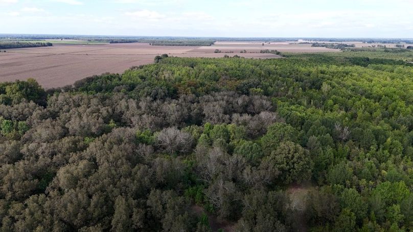 DJI_20251009043330_0777_D (1)