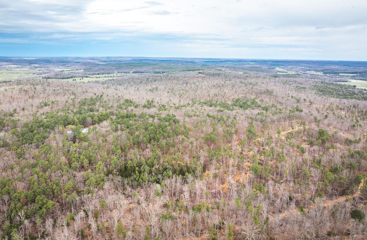 DJI_20250403120242_0562_D