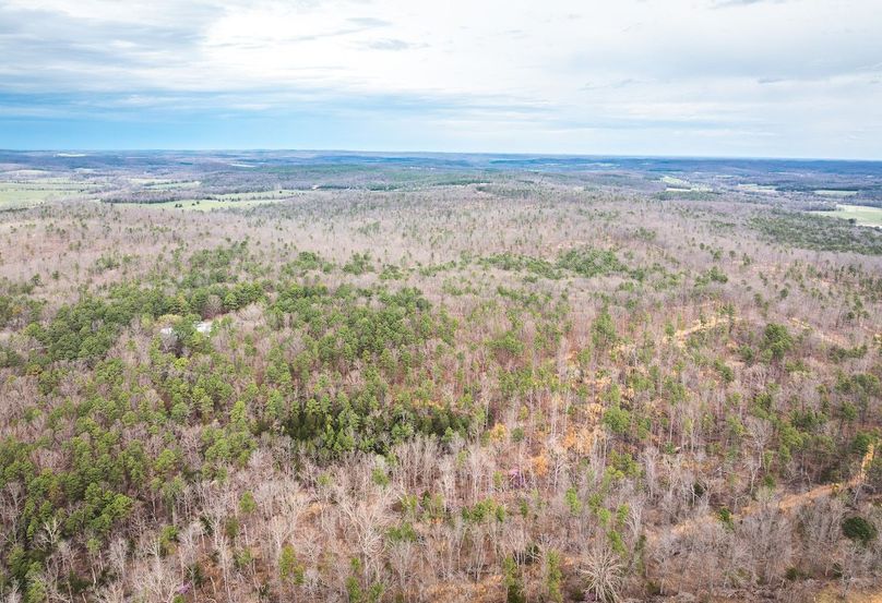 DJI_20250403120242_0562_D