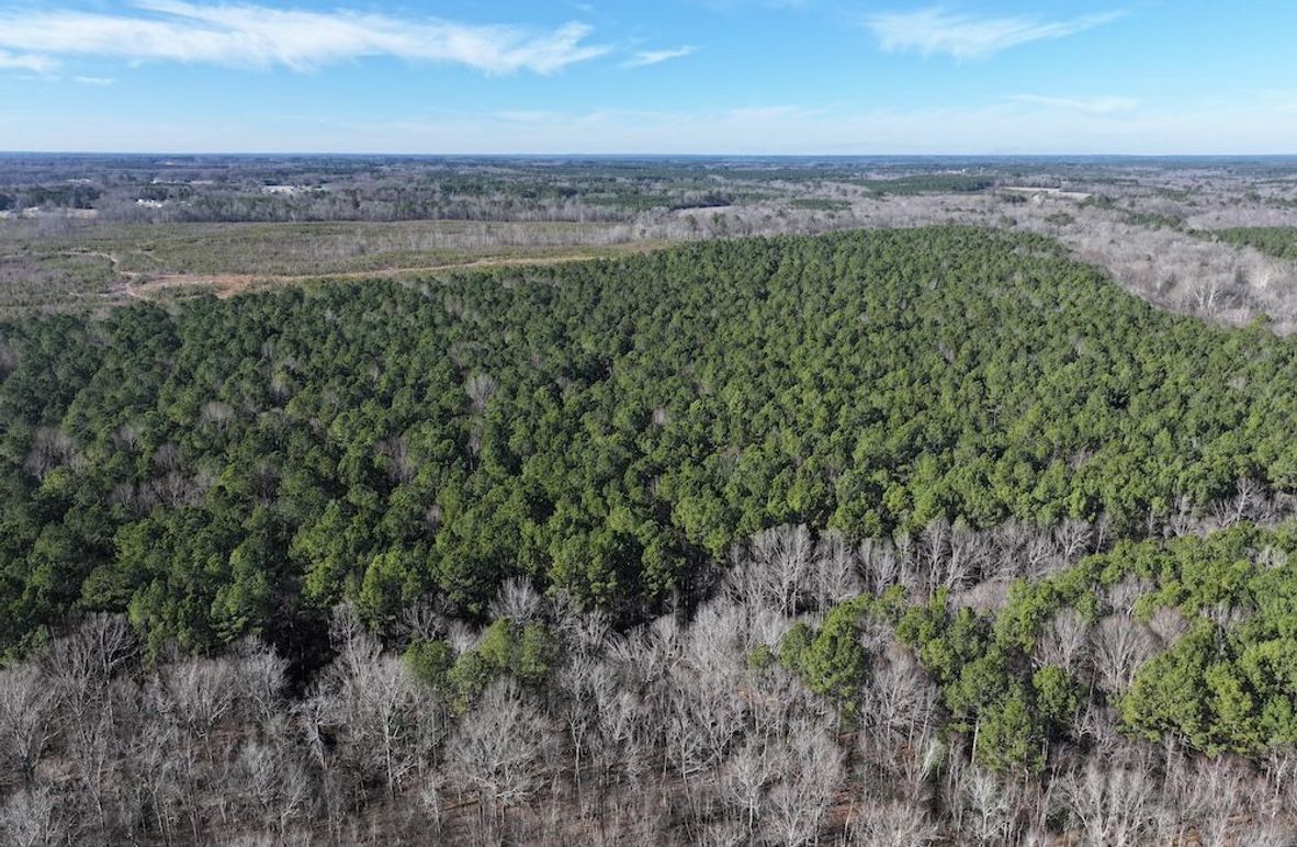 DJI_20260101140935_0288_D