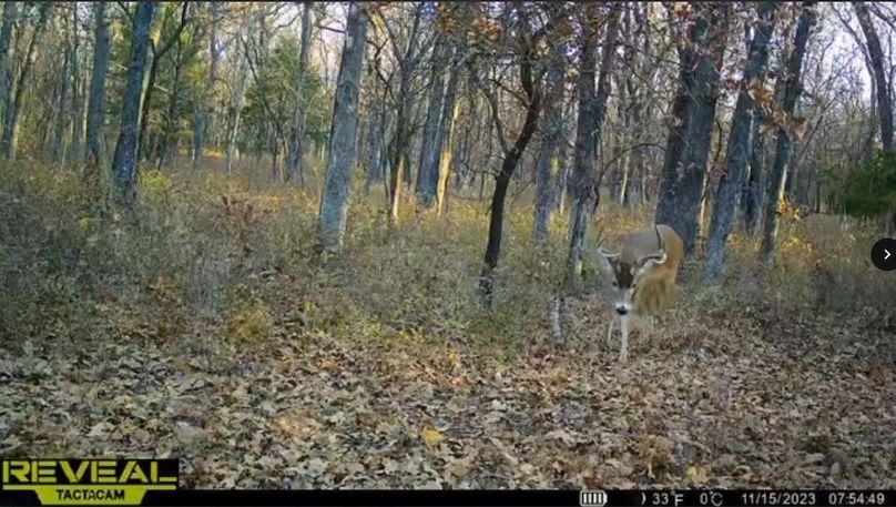 Screenshot_24-1-2026_84038_drive.google.com