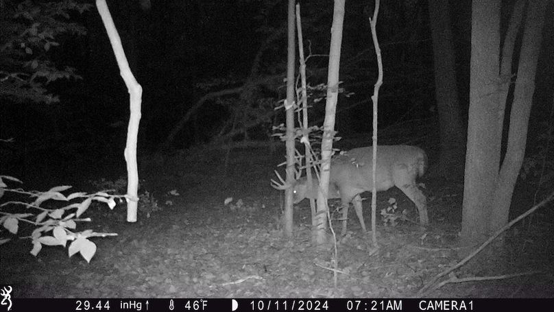 Trail Cam.15