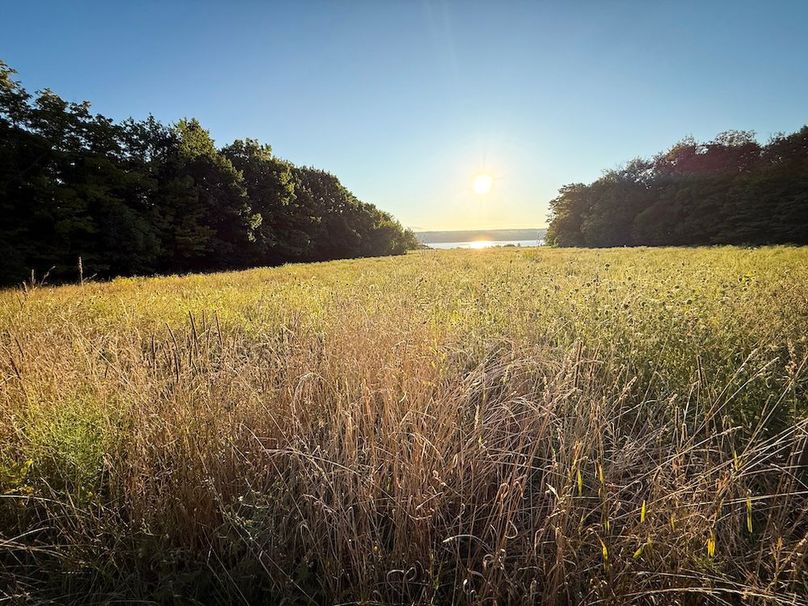 Seneca_65_Engels Photo 59