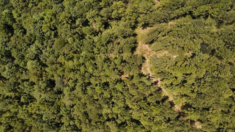 DJI_20240812130152_0004_D