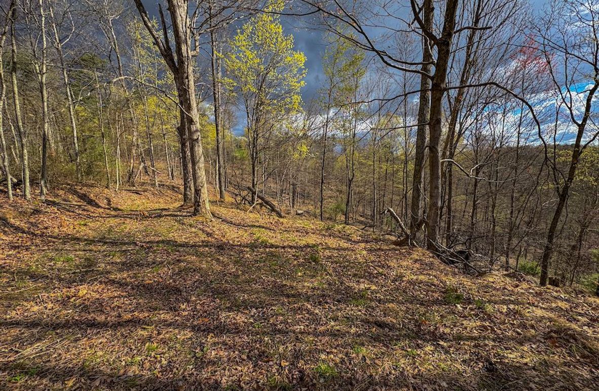 Wirt, WV 156.941 AC Full-02