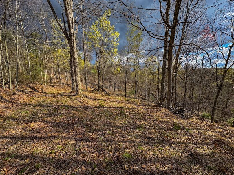 Wirt, WV 156.941 AC Full-02