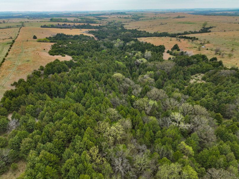 Washington, Co, 83.3_008