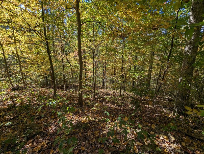 PXL_20231004_163411946