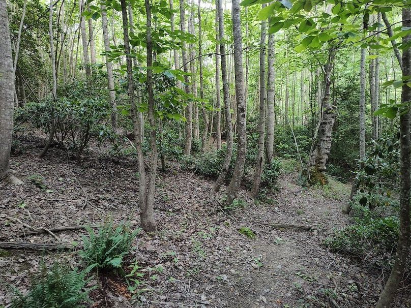 IMG_20250518_173109034