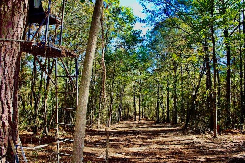 167F4612-58FC-4951-A8A0-82A0EAE18926_1_105_c