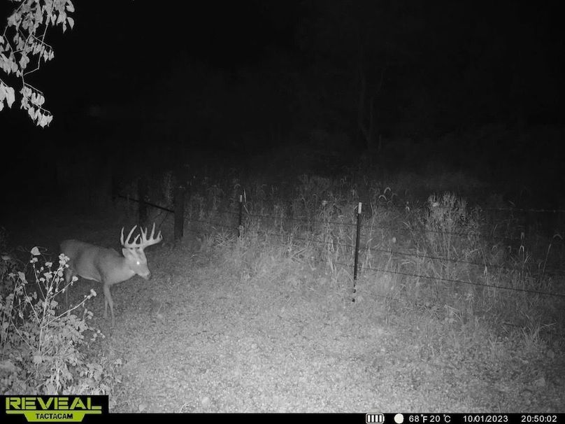 864049055283404-100-4-10022023100605-HD-SYEW0086