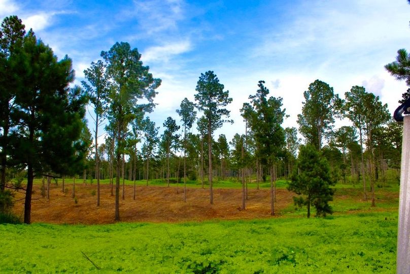 EA2E38D8-4C8B-4D77-81D7-CE8F4F5A1559_1_105_c