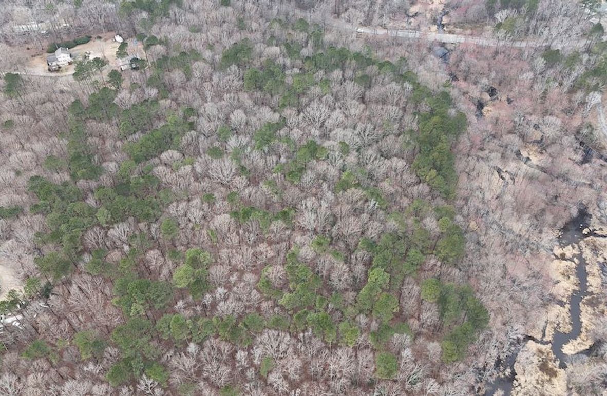 dji_fly_20260225_113242_0119_1772037654019_photo