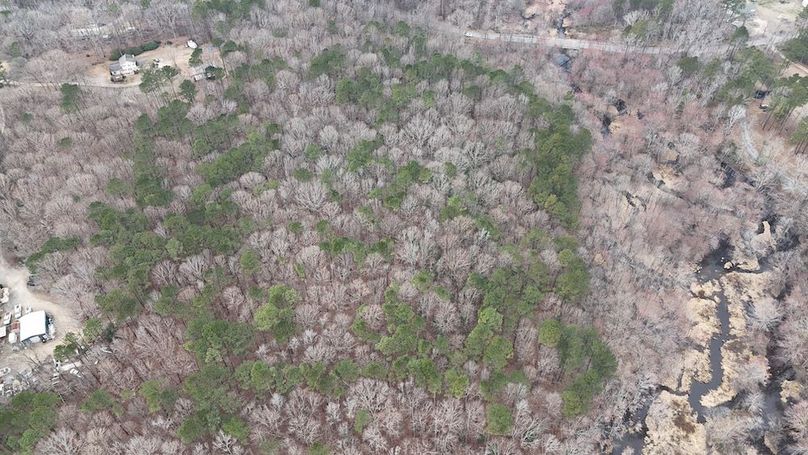 dji_fly_20260225_113242_0119_1772037654019_photo