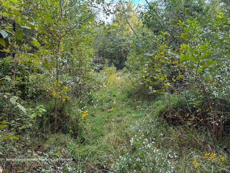 DeSoto 329 Prewett (Thompson) -34