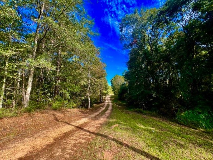 D5907291-5344-40B3-B7B7-DDD15320ECE3_1_105_c