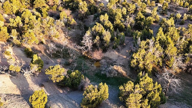DJI_20250409192758_0078_D