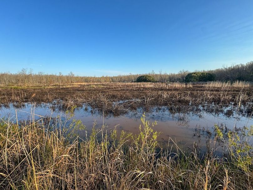 Panola 164.7 SPI Land Ventures-49