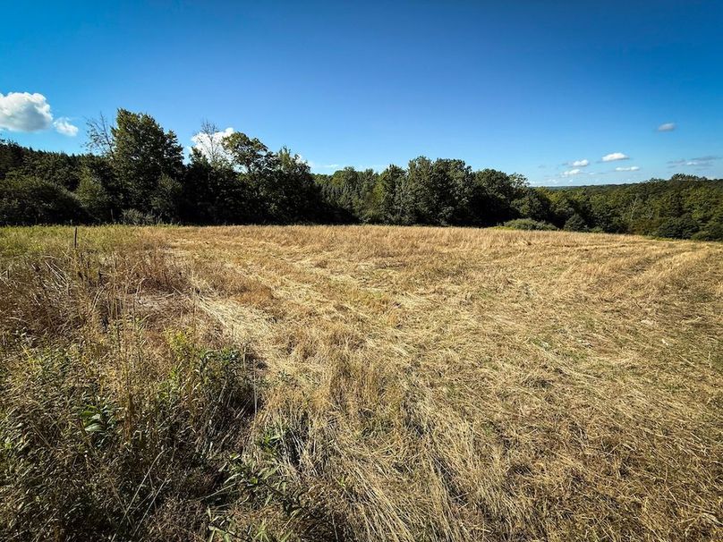 Tioga NY 232.62 Shores Photos 29