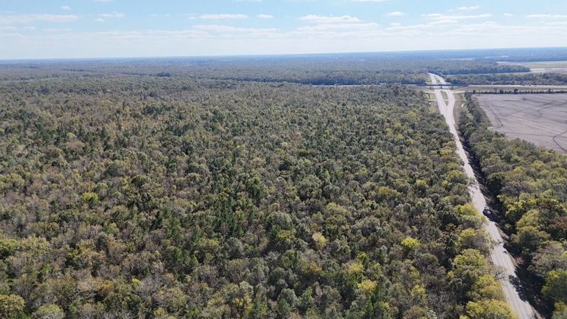 dji_fly_20251106_035338_0085_1762382157271_photo