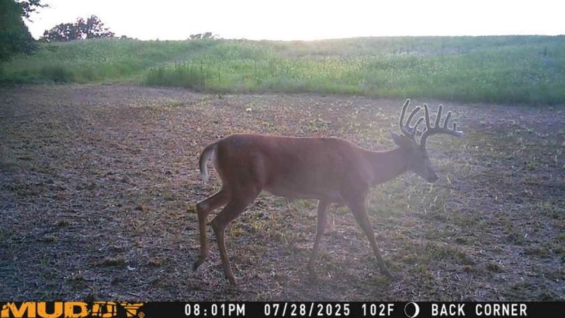 25072820013201002208