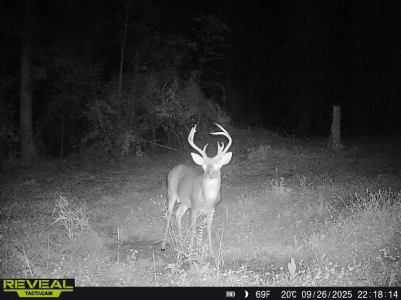 862515041535786-80-5-09262025221814-W1006717