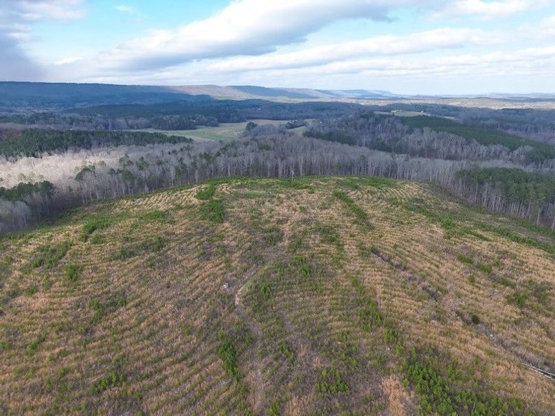 DJI_20260303144458_0009_V