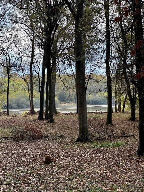 FullSizeRender(1) copy