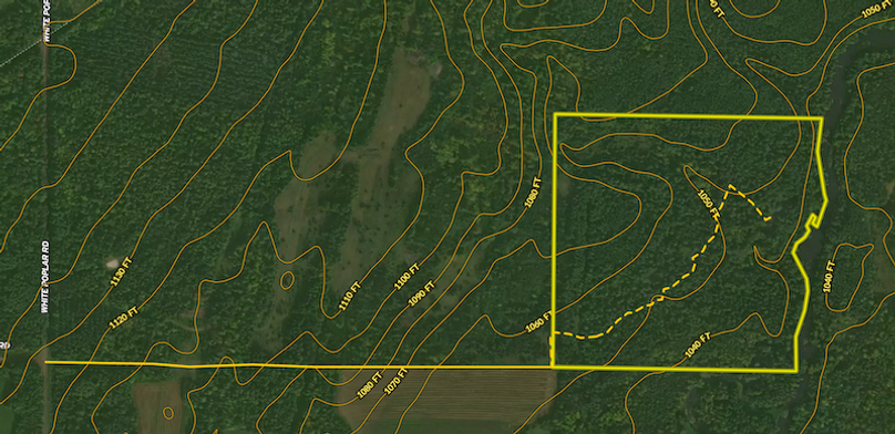 Screen Shot 2024-05-04 at 12.19.28 PM