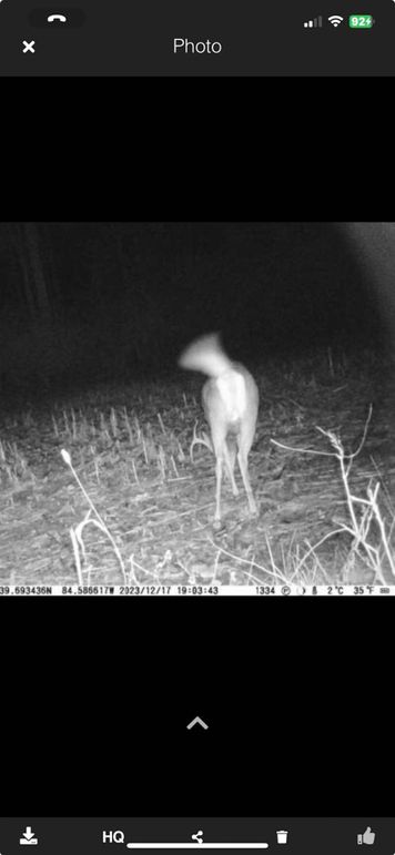 Screenshot_2023-12-23_at_12.13.20â¯PM