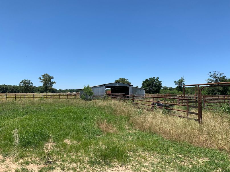 19D5947C-D03F-4531-B582-64F09F750339_1_102_o