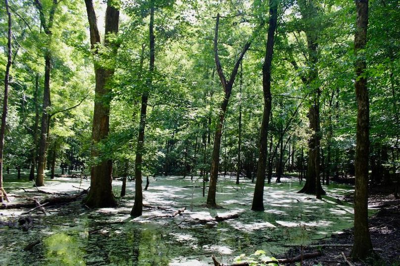 65B82A14-692E-42F6-AC7B-3821446BB468_1_201_a