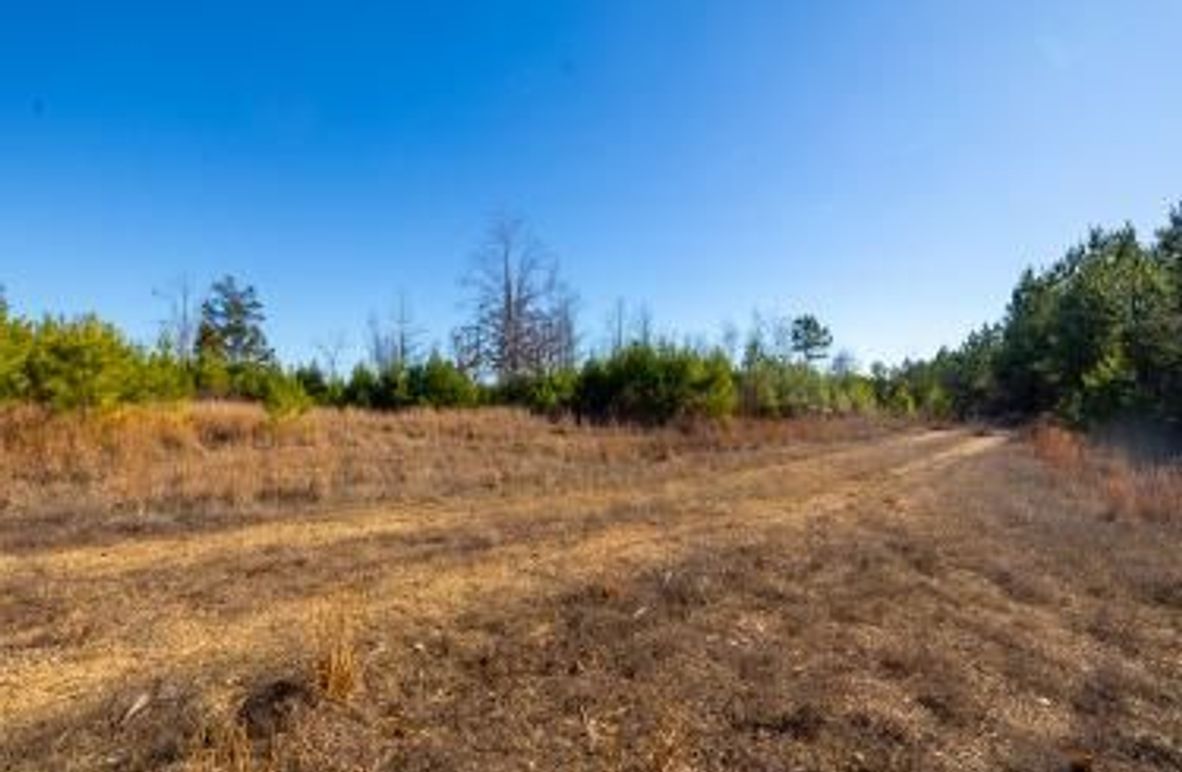 MCKINNON TRACT 19-01