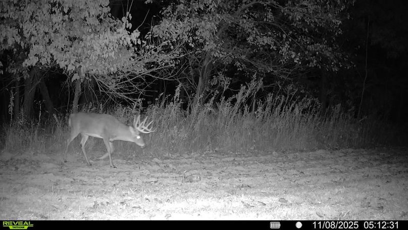 016687000111050-100-4-11082025051231-V-SYFW02443