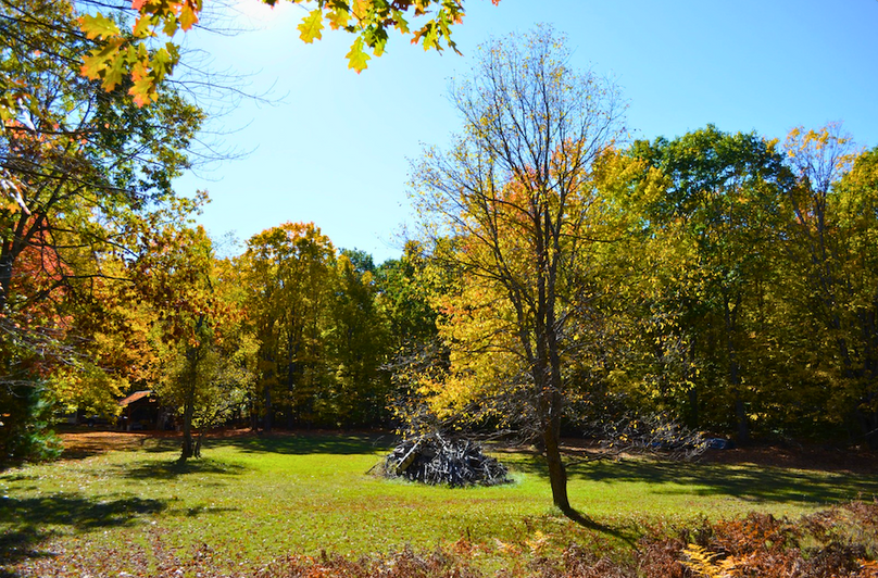 Screenshot 2025-11-11 at 12.14.18 PM