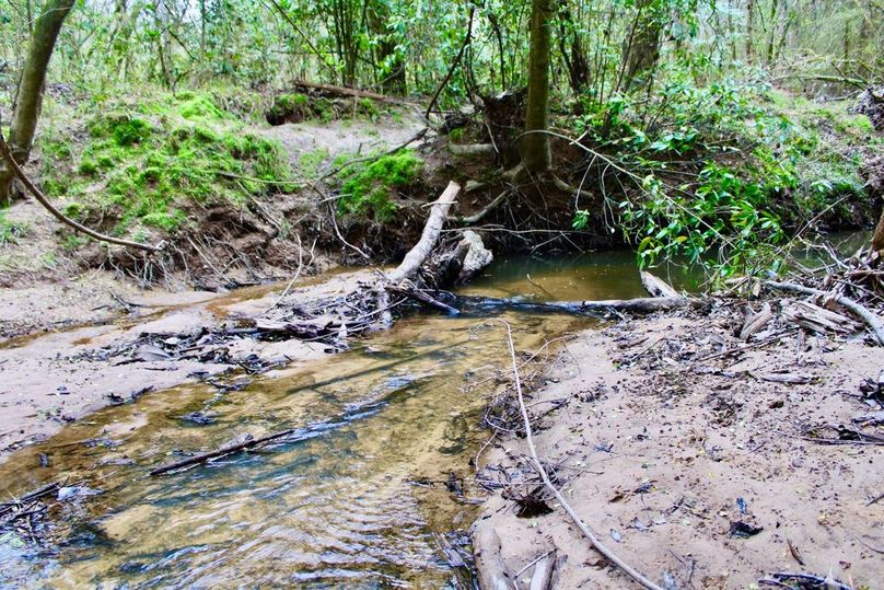 70F39578-4149-4315-90FA-83644273BC57_1_105_c