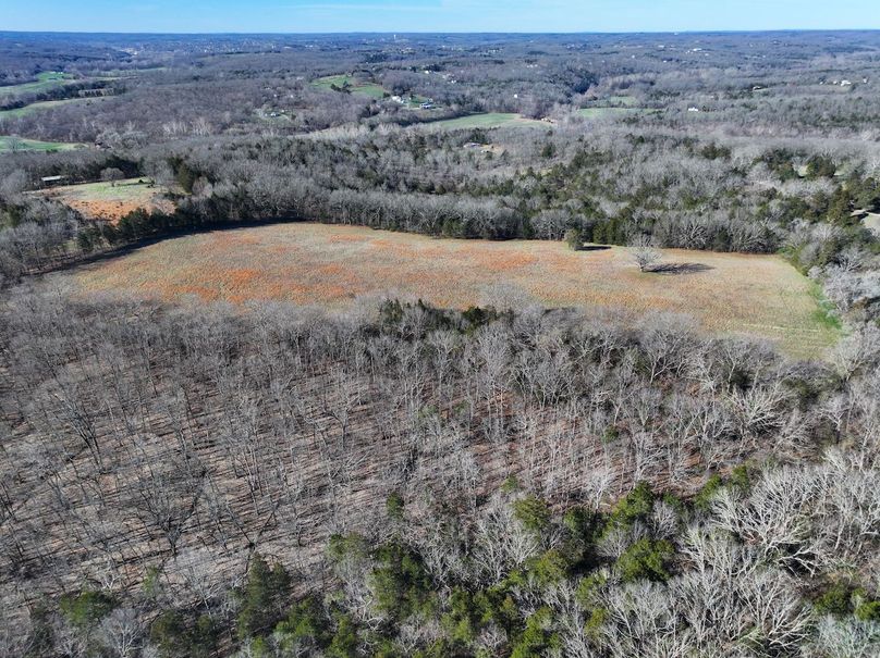 DJI_20260317093547_0981_D