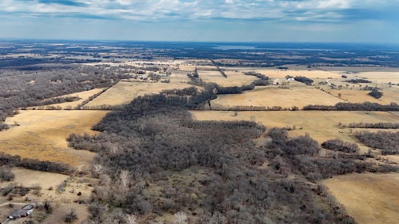 DJI_20260301152650_0097_D